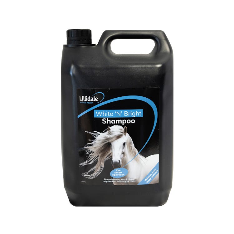 Lillidale White N Bright Shampoo image 2